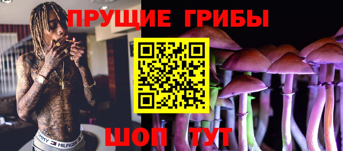Великие Луки  Галлюциногенные грибы прущие грибы  Вход с VPN 