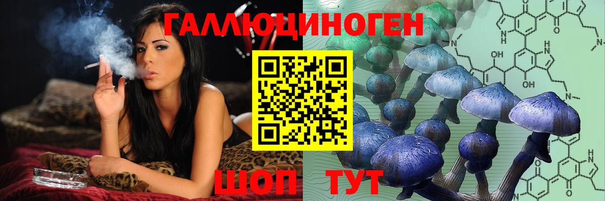 Галлюциногенные грибы Cubensis Великие Луки